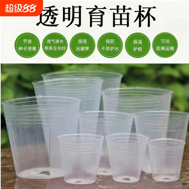 蝴蝶兰透明育苗杯|超4000次加购图片