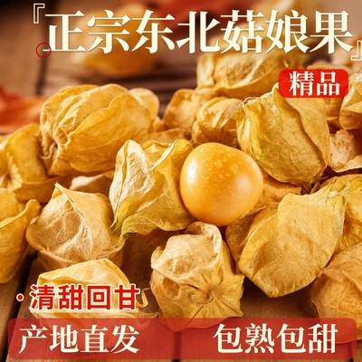 正宗东北姑娘果新鲜菇娘果灯笼果水果现摘黄菇娘灯笼果薄皮甜整箱
