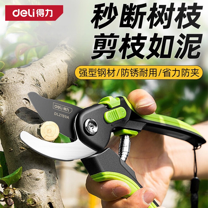 园艺剪刀修枝剪果树修剪树枝剪枝专用剪刀花剪修剪花卉园林