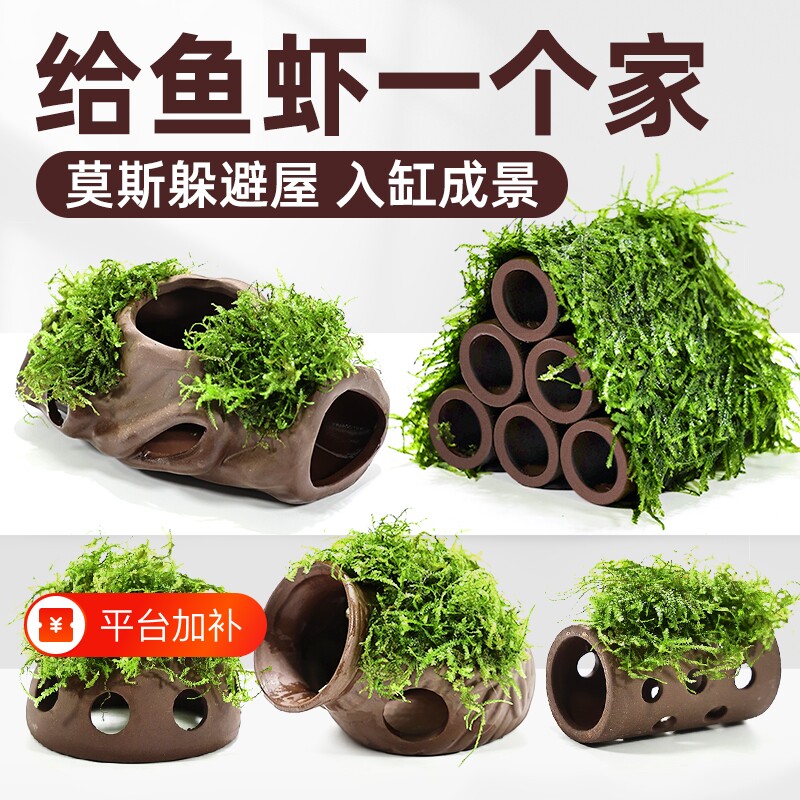 紫砂虾屋鱼缸躲避屋水草植物造景莫斯装饰水榕懒人真草鱼虾水质
