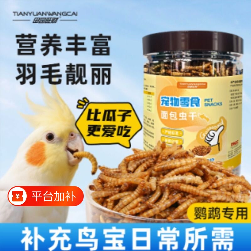鹦鹉适用面包虫干黄粉虫干高蛋白八哥互动零食无盐活体饲料替代品