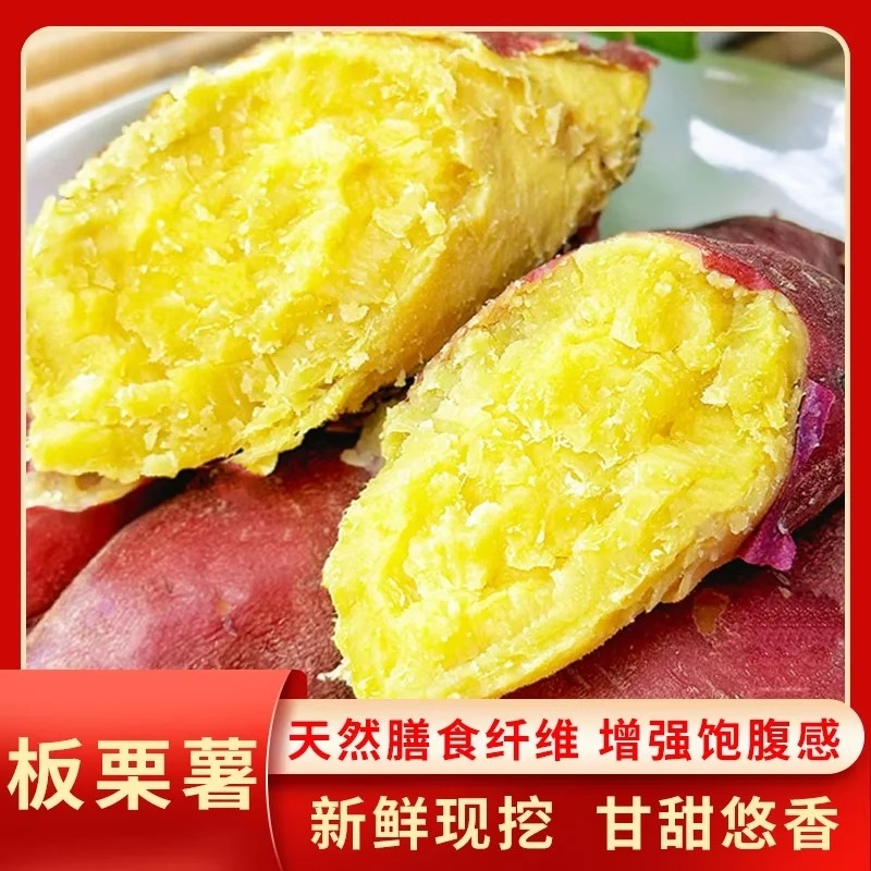 正宗板栗薯新鲜现挖|千人加购