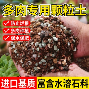 多肉土专用颗粒营养土植物泥炭种植土铺面石叶插纯颗粒土 发酵 包邮