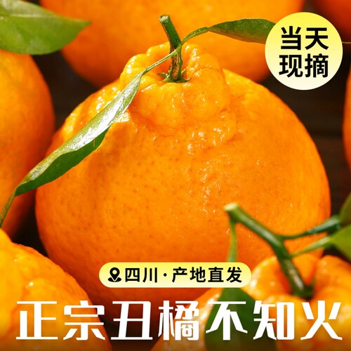 四川不知火丑橘10斤新鲜现摘爆汁大果时令当季桔子整箱包邮耙耙柑