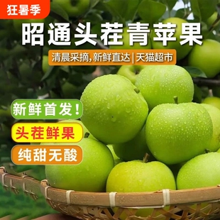 现摘云南当季昭通青苹果新鲜水果青香蕉孕妇水果纯甜无酸红露苹果