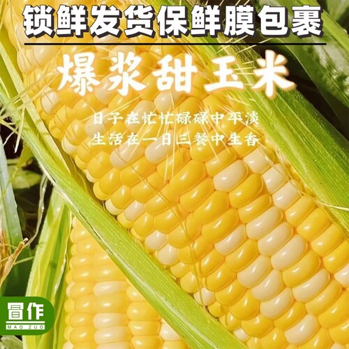 云南水果甜玉米新鲜现摘大果