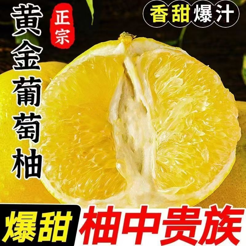 正宗黄金葡萄柚子福建当季现摘新鲜水果黄心蜜柚甜西柚肉嫩爆汁