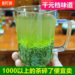 2025新茶叶信阳毛尖特级碎茶明前高山嫩芽茶末散装 浓香口粮茶500g