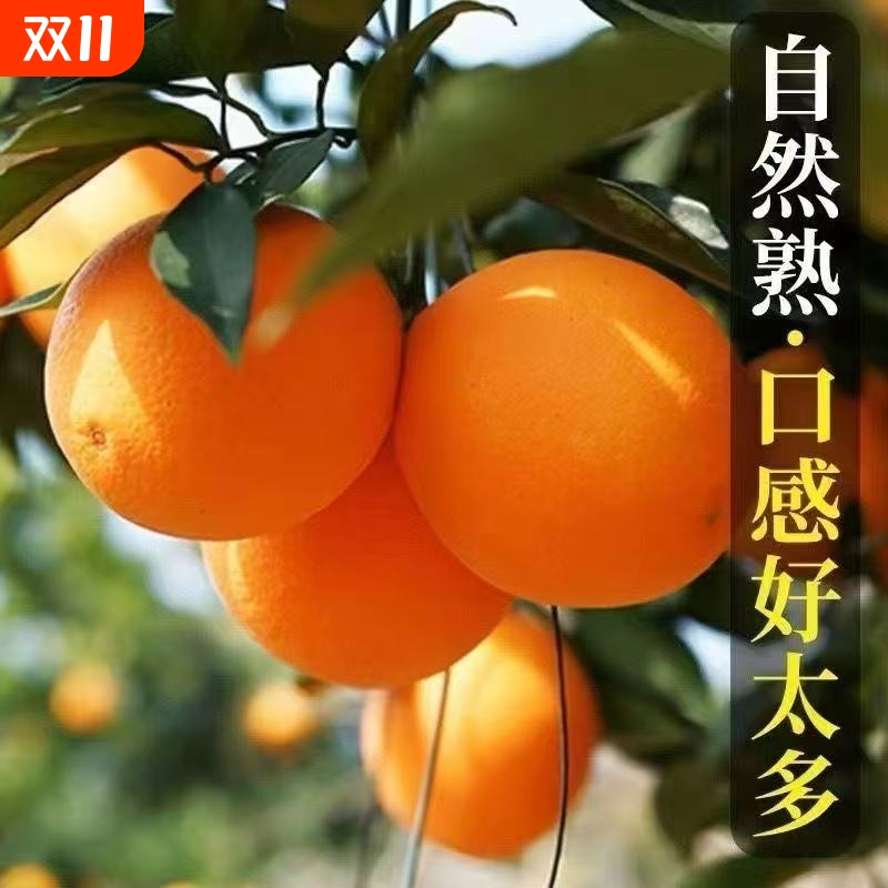 农家纽荷尔脐橙甜新鲜正宗鲜橙橙子酸甜当季多汁应季水果