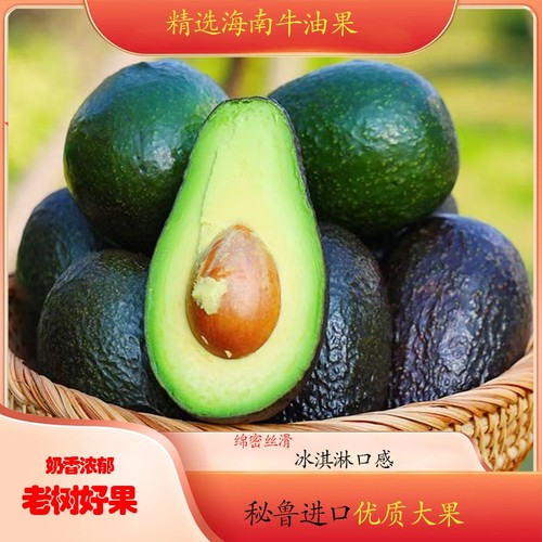 墨西哥进口牛油果大果新鲜水果当季哈斯丝滑即食鳄梨孕妇幼儿辅食