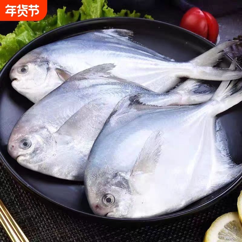 小银鲳鱼新鲜海鲜水产深海银鲳鱼昌鱼冷冻白鲳鱼平鱼鳊鱼包邮,水产肉类/新鲜蔬果/熟食,鲳鱼,淘宝优惠券,粉丝福利购,淘宝优惠卷