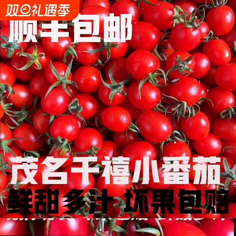 广东正宗电白冰糖心千禧果小番茄圣女果孕妇新鲜现发