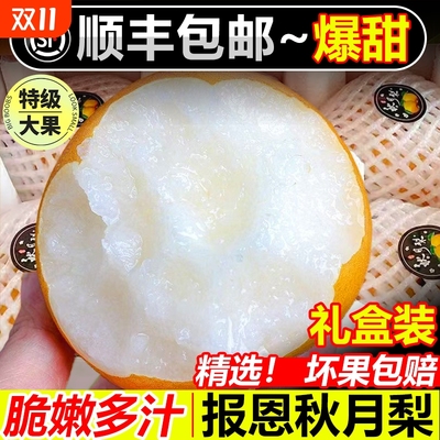 山东莱阳秋月梨正宗大果新鲜水果当季10斤整箱脆甜新鲜梨当季现摘