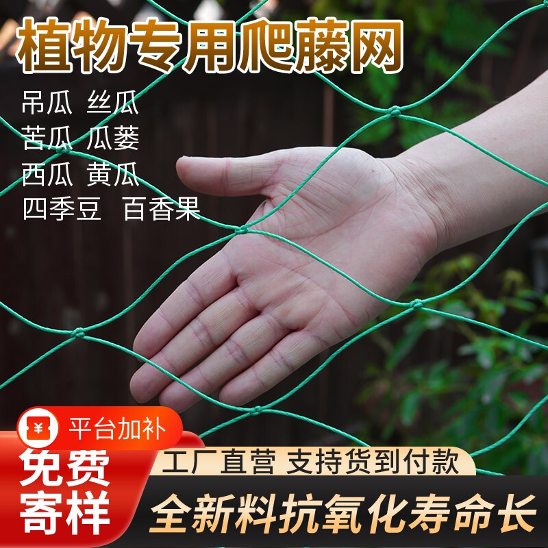 爬藤网植物豆角丝瓜蔬菜黄瓜苦瓜葡萄农用种植新型网格攀爬网瓜果