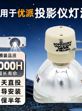 适用Vivitek 丽讯投影机灯泡D966HD DH977WT D980HD MX2206K  MW2923J MX2925I DX977WT投影仪灯泡