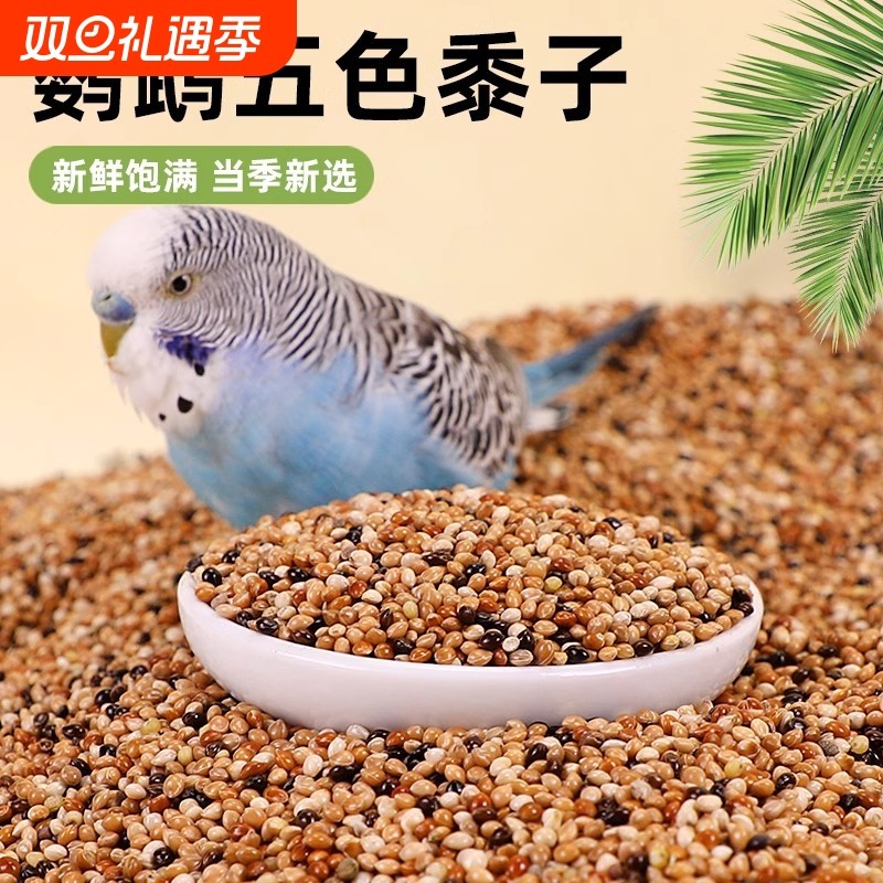 鹦鹉鸟粮饲料虎皮玄凤牡丹鸟食带壳黄谷子五色黍子鸟食混合专用粮
