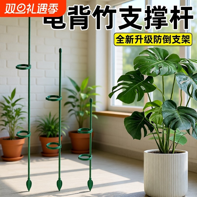 龟背竹防倒伏专用支撑杆金钱树蝴蝶兰植物花支架园艺绿植固定神器
