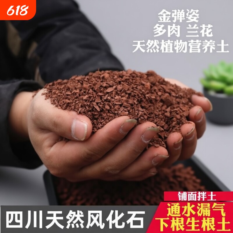 风化土颗粒风化石土壤盆景下山桩生根专用铺面通用型小叶多肉种植