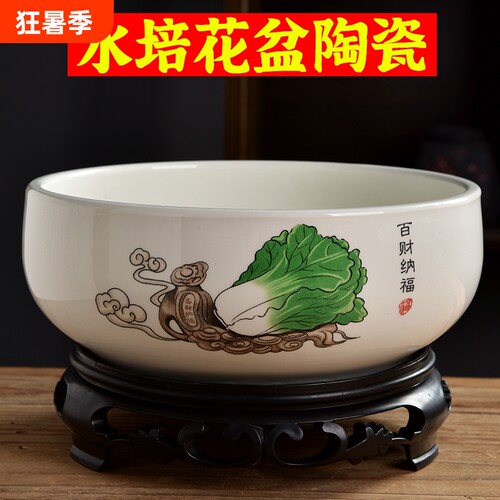 大口径睡莲巴旦木铜钱草陶瓷花盆