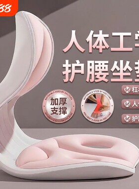 【官方优选】护腰坐姿椅人体工学