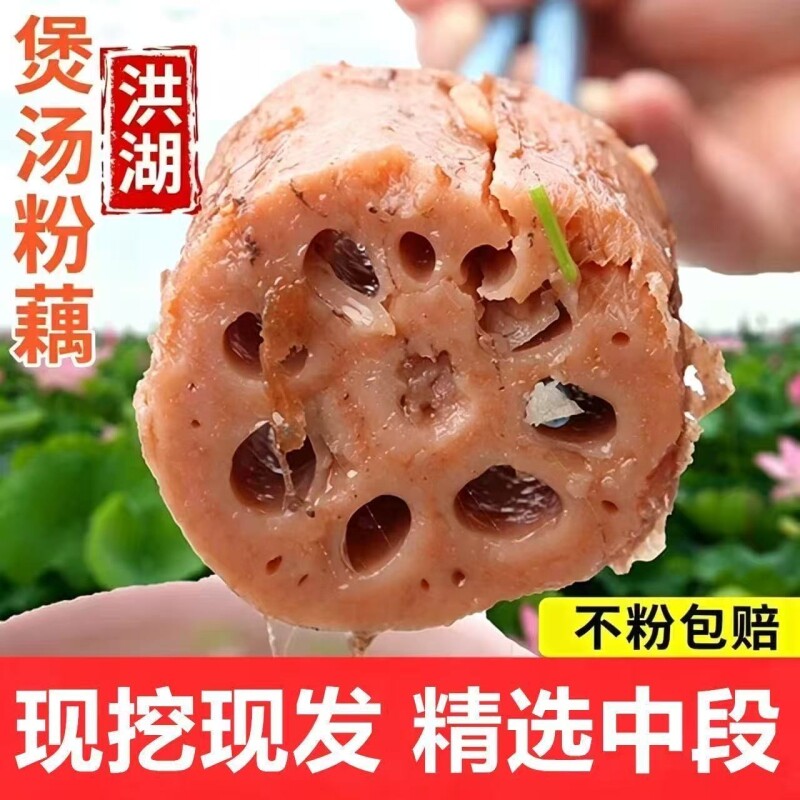 正宗洪湖莲藕新鲜煲汤粉藕现挖湖藕面藕红藕湖北特产泥藕蔬菜5斤