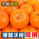 正宗云南沃柑新鲜橘子应当季 孕妇水果整箱柑桔子非广西武鸣县现摘