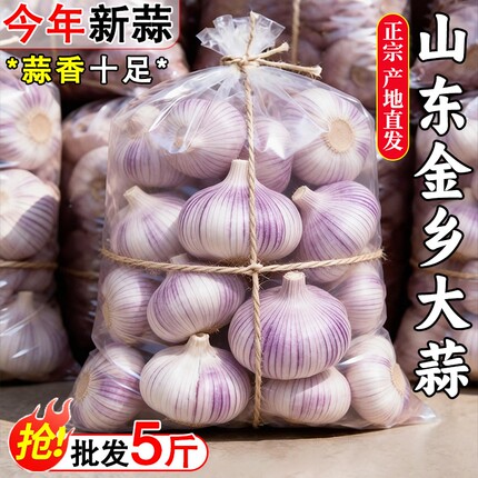 大蒜山东金乡直发当季头干货炒菜调味回购白皮晒干新鲜紫皮自提