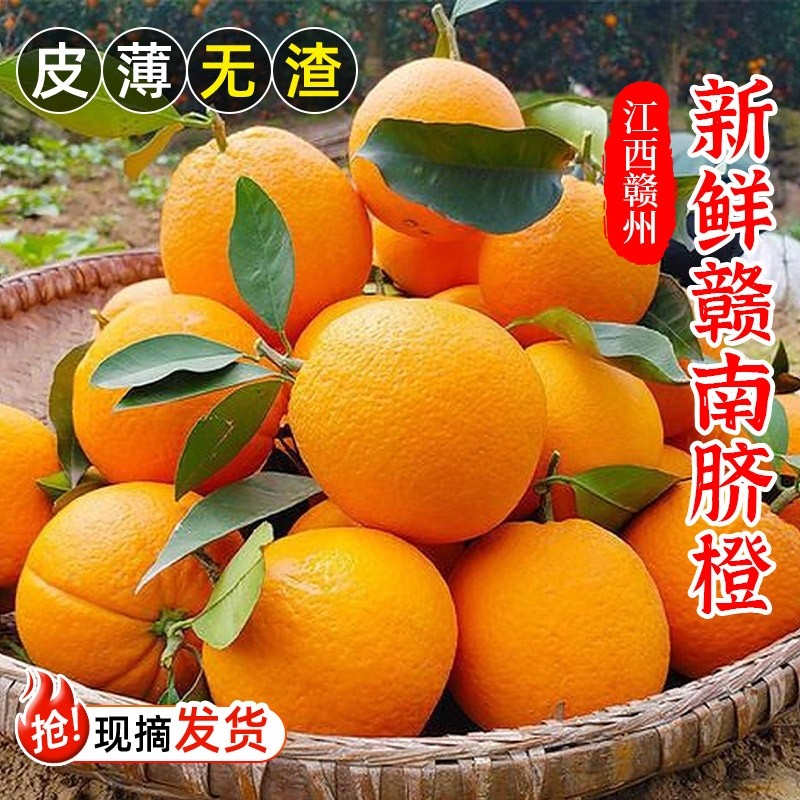 江西赣南脐橙橙子新鲜赣州脐橙水果现摘手剥应季甜橙整箱包邮榨汁