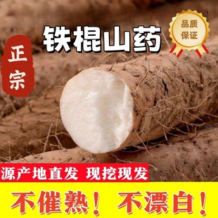 正宗温县垆土铁棍山药5斤农家自种怀山淮山药新鲜现挖特产地直发