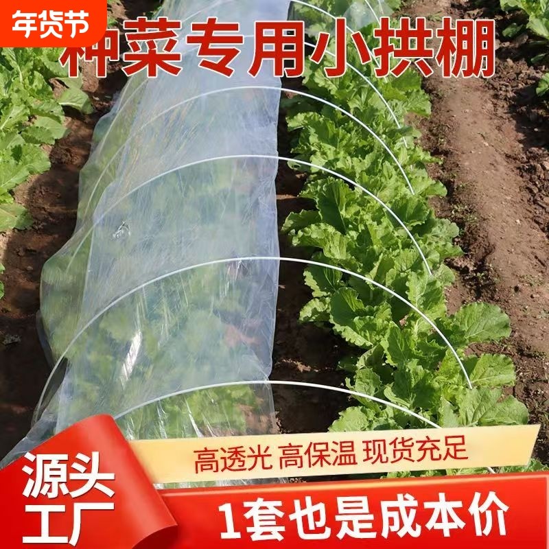 拱棚支架玻璃纤维大棚骨架菜棚拱条水稻保温棚育苗杆实心农用种菜,鲜花速递/花卉仿真/绿植园艺,其它园艺用品,淘宝优惠券,粉丝福利购,淘宝优惠卷