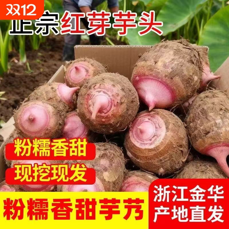 新鲜农家现挖新鲜芋头