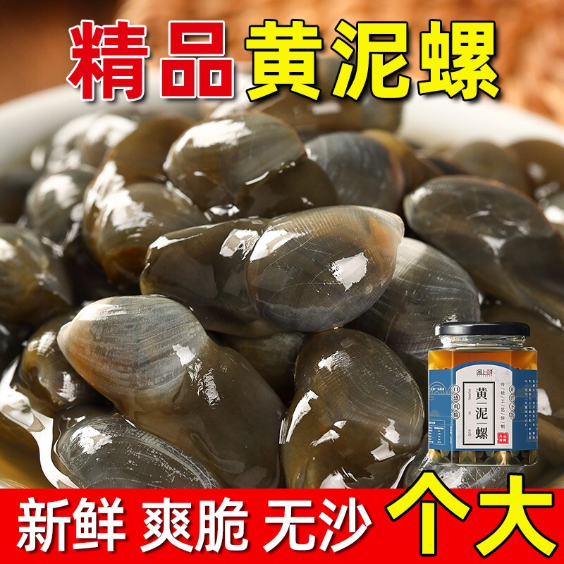 舟山泥螺特大号即食黄泥螺生腌鲜活醉宁波特产海鲜新鲜腌制醉泥螺