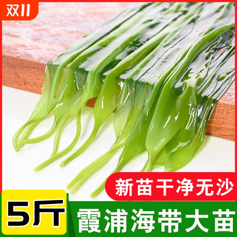 霞浦海带大苗盐渍新鲜海带脆苗凉拌火锅香炒煮汤食材醉天舟水产品
