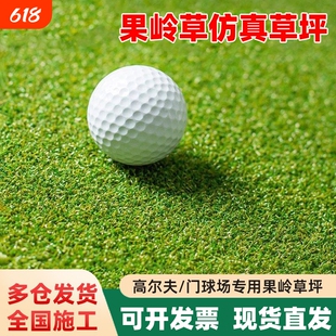 果岭草高尔夫门球场人工仿真草坪户外操场铺垫塑料曲丝假草皮地毯