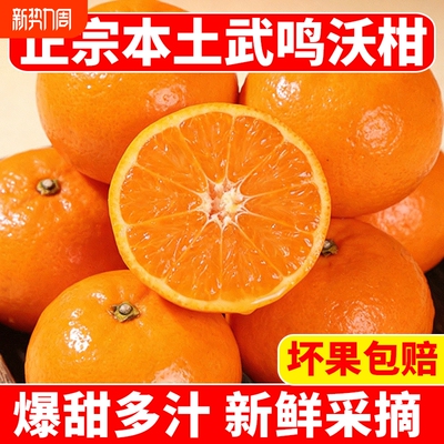 正宗广西武鸣沃柑新鲜现摘水果一级蜜橘砂糖柑橘桔子10大果斤整箱