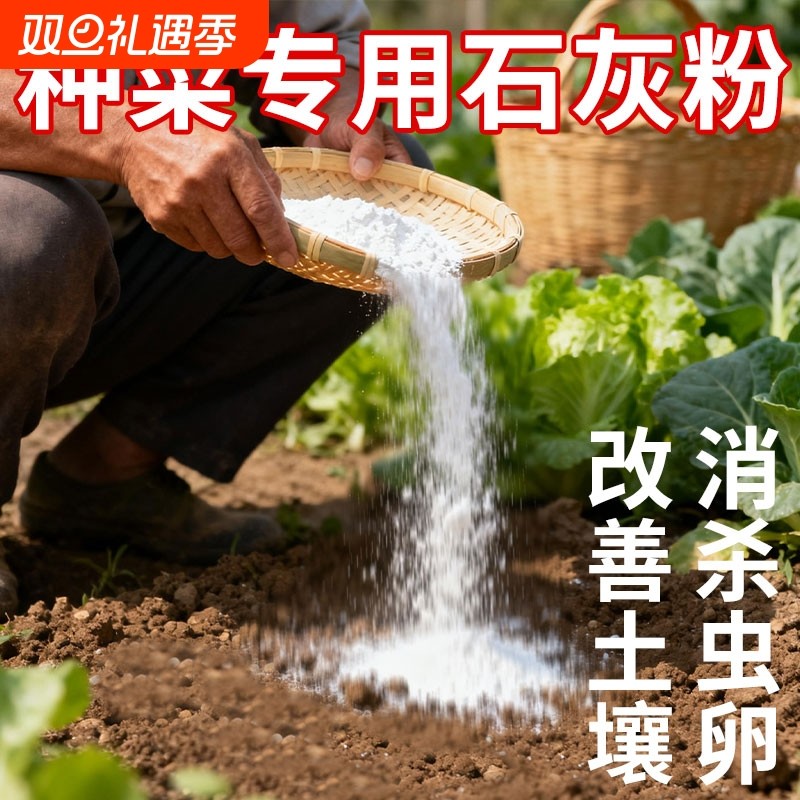 种菜土壤防霉干燥剂石灰块除湿刷墙杀菌消毒杀虫氧化钙室内高纯度
