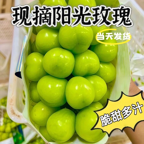 阳光玫瑰葡萄晴王新鲜水果无籽香印青提5斤特大果当季整箱鲜果