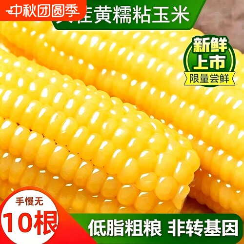 产地直发真空装东北黄糯玉米