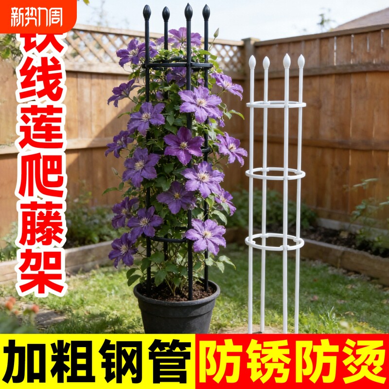 铁线莲爬藤架花架支撑杆月季蔷薇攀爬架子铁艺花卉植物防倒伏支架