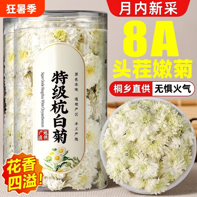 桐乡杭白菊白菊花特级正品黄山正宗去火养生茶泡水菊花茶大朵袋装 - 实物图