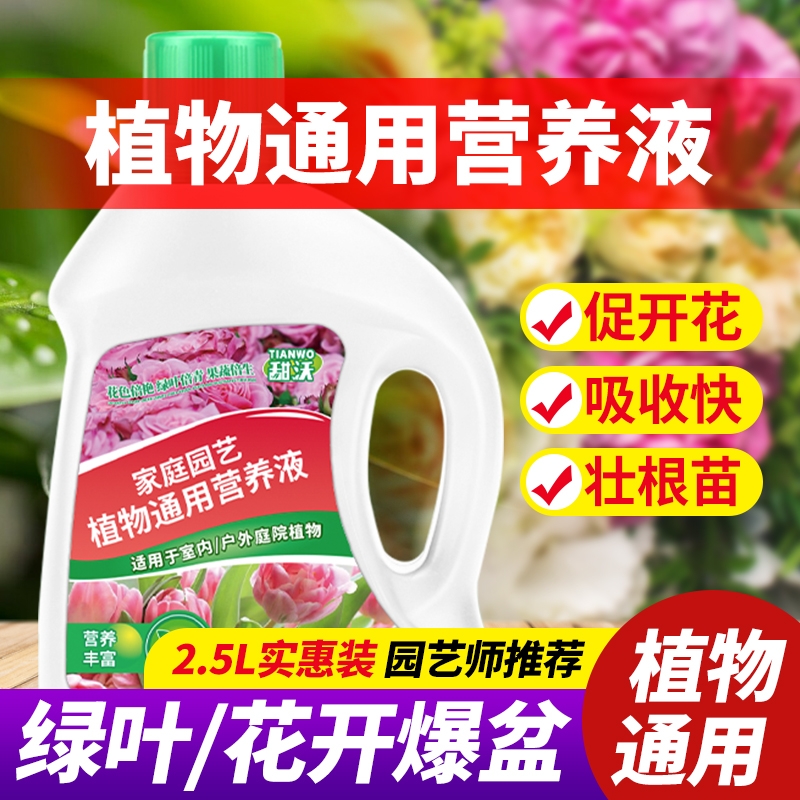 营养液植物通用型花肥发财树富贵竹绿萝水培盆栽家用花卉养花肥料