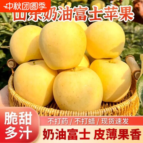 奶油富士苹果山东正宗黄金苹果新鲜水果非红富士当季孕妇水果精品