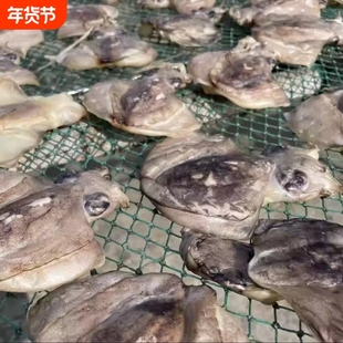 东海目鱼仔带膏墨鱼籽目鱼蛋微咸清蒸红烧咸香味十足