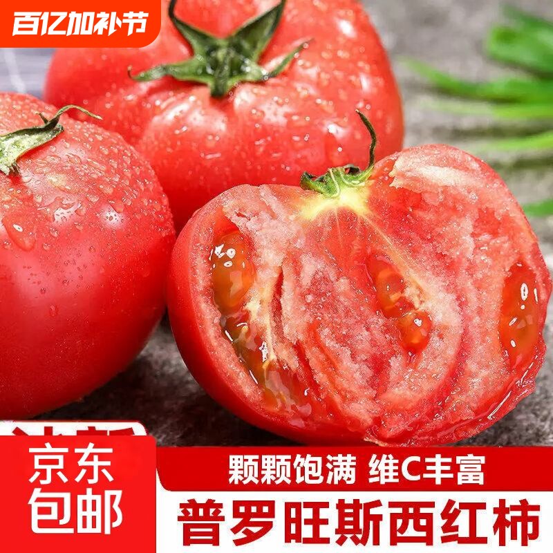 正宗普罗旺斯当季水果西红柿生吃自然熟沙瓤番茄儿童老人减脂蔬菜