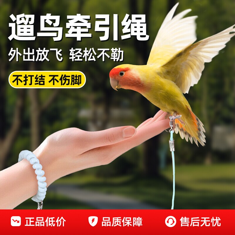 鹦鹉放飞绳超轻训练牵引绳外出遛鸟神器虎皮牡丹玄凤专用绳子八哥