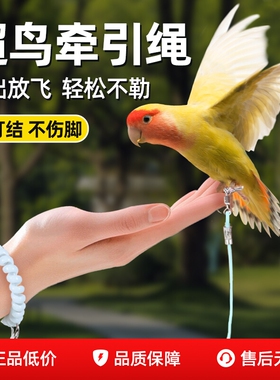鹦鹉放飞绳超轻训练牵引绳外出遛鸟神器虎皮牡丹玄凤专用绳子八哥