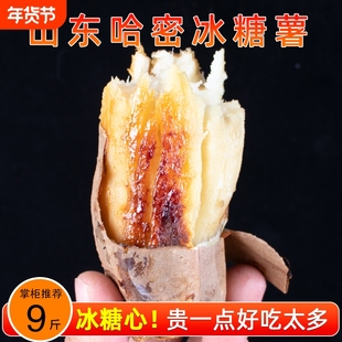 山东哈密冰糖心白薯地瓜新鲜现挖老品种山芋白心板栗红薯沙地番薯