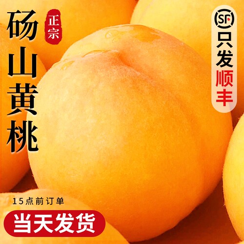 【只发顺丰】砀山黄桃！