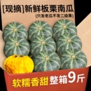 正宗板栗南瓜沙地老南瓜 粉糯甜板栗味瓜现摘香甜 包邮 新鲜5斤当季