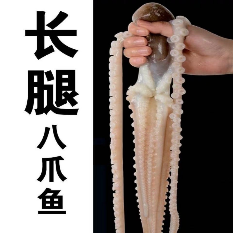 海鲜长腿八爪鱼网红活体冷冻鱿鱼商用新鲜批发章鱼爆头超大八爪